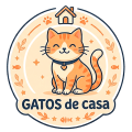 Gatos de Casa - El blog para tu felino
